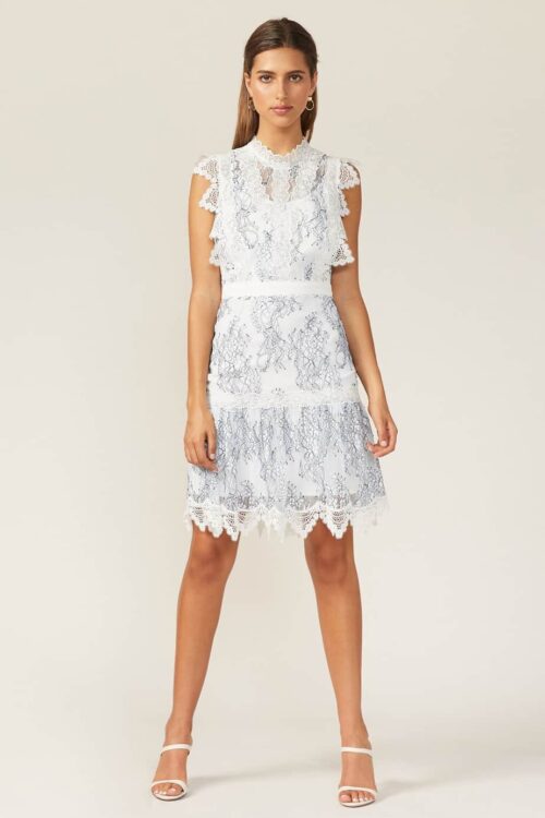 Hattie White/Navy Dress