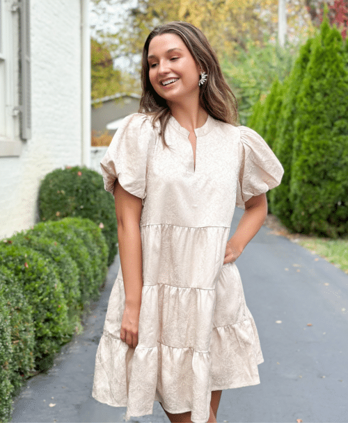 Beige Shimmer Puff Sleeve Jaquard Dress (2215)
