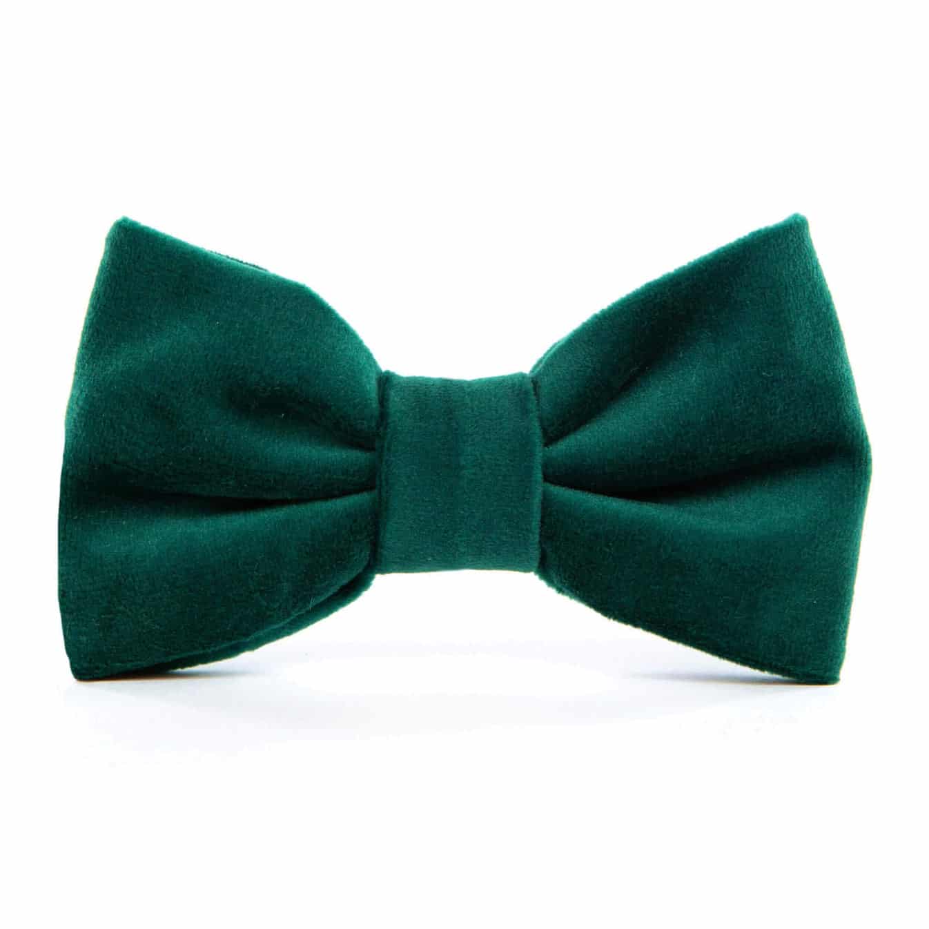 forest-green-velvet-dog-bow-tie-from-the-foggy-dog-119465