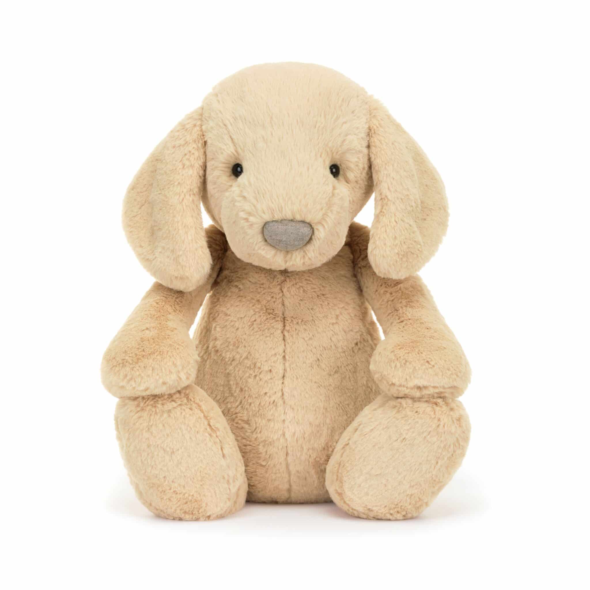 BAH2PUP-Bashful-Luxe-Puppy-Orlando-Big-7