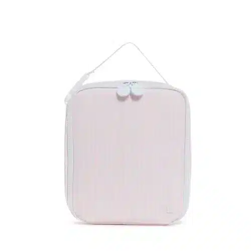 TSA_Lunch_Box_Pimlico_Stripe_Pink_V1-jpg