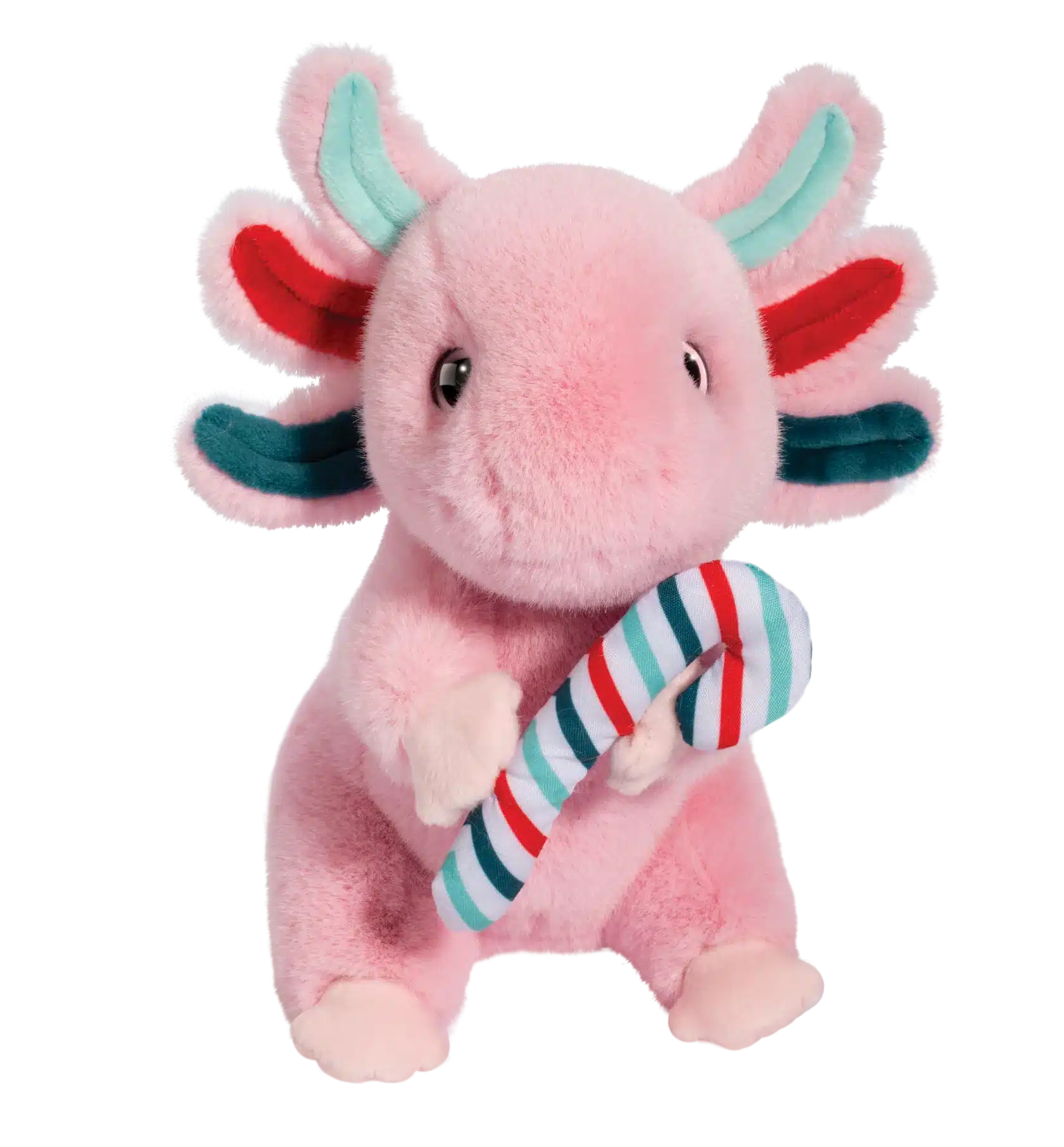 15902_1b8ee4ef-8751-45ee-9ed5-48f21be6f435-png