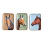 Horse Country Metal Trinket/Desk Tray - Blue