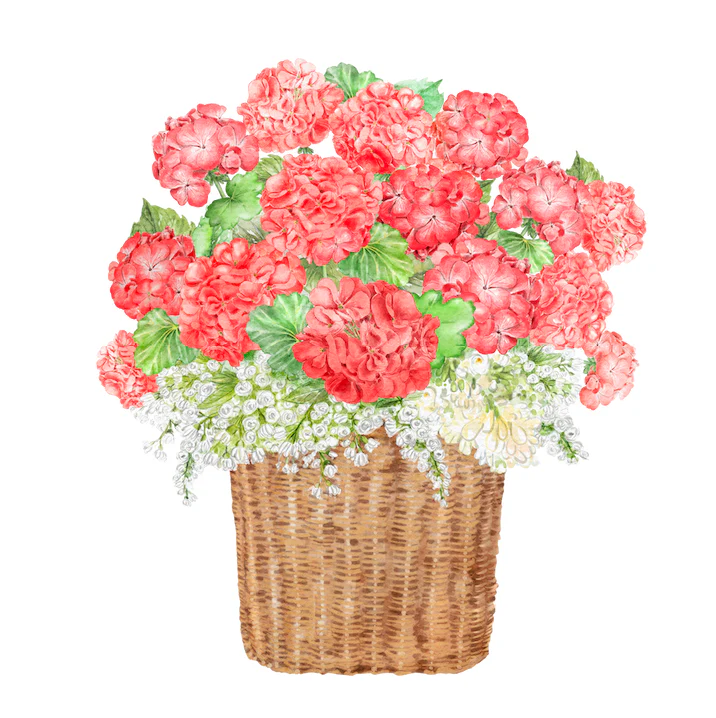 ScreenShot2024-02-10at6-05-59PM-png